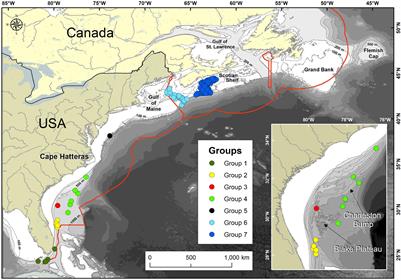 Life in the Fast Lane: Modeling the Fate of Glass Sponge Larvae in the Gulf Stream